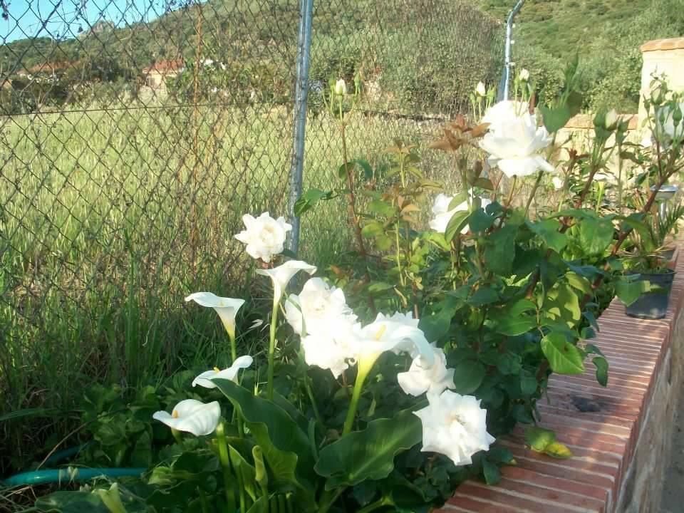 Los Toneles Puerto de Santa Cruz 외부 사진
